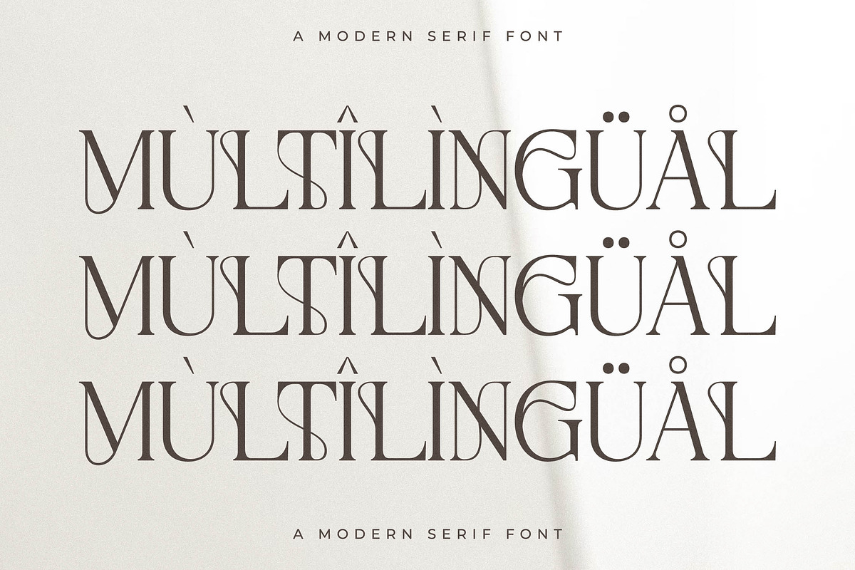 Metrolin Modern Serif Font, a Serif Font by Storytype Studio (Photo 12 of 15)