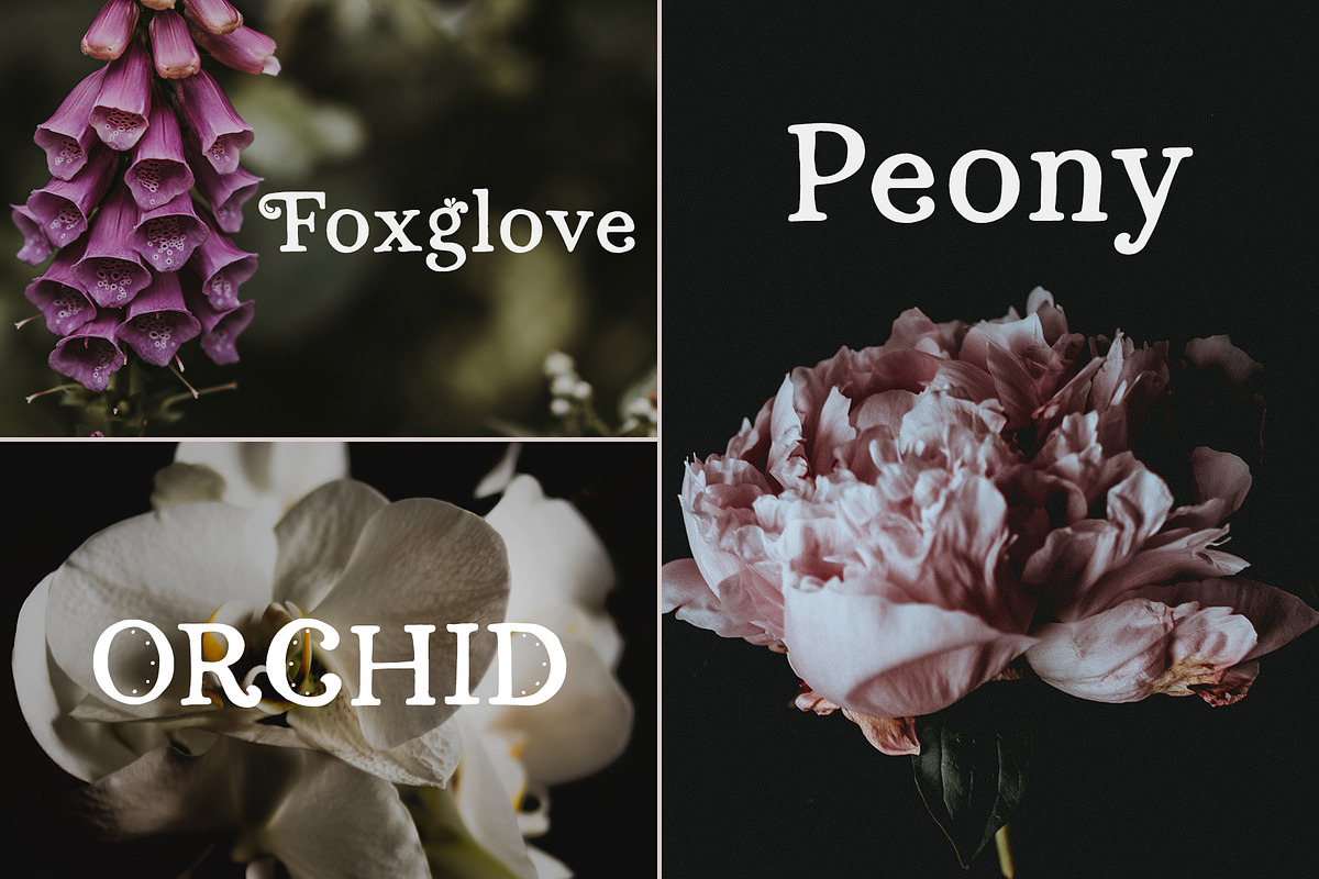 Persephone // A Hand-Drawn Serif, a Serif Font by Megs Lang (Photo 14 of 25)