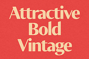 Constrodis, a Sans Serif Font by graphicook (Thumbnail 4 of 11)