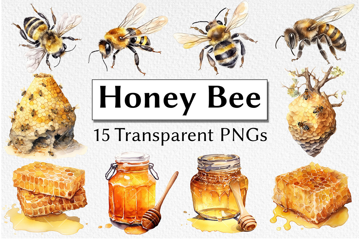 Honey Bee Watercolor Clipart, an Animal Illustration by milkghost (Photo 1 of 2)