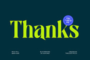 Zefta Bold Tall Modern Serif Font, a Serif Font by timelesstype.co (Thumbnail 20 of 20)