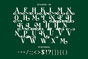 Bremina Decorative Serif Font, a Serif Font by Luna Shop (Thumbnail 4 of 8)