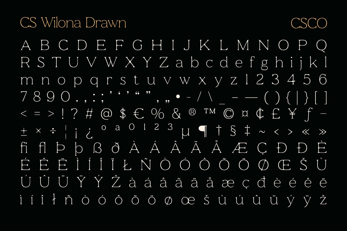 CS Wilona Drawn, a Serif Font by Craft Supply Co. (Photo 8 of 8)