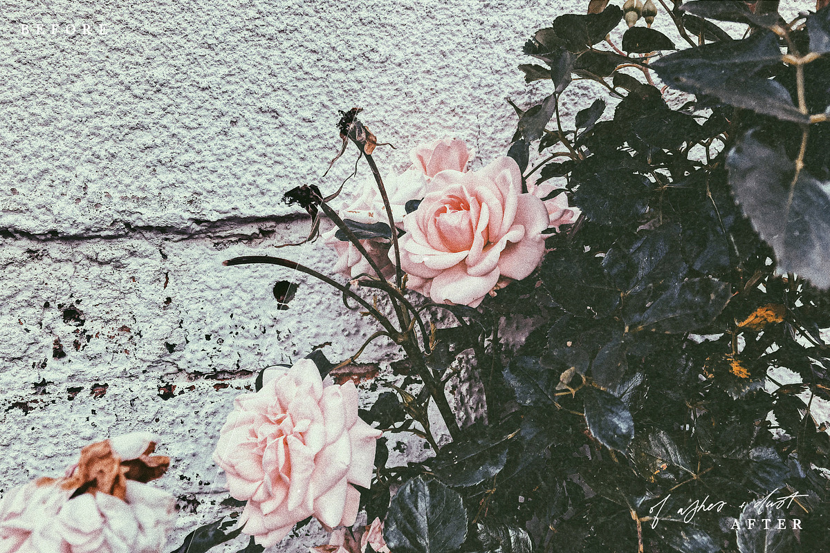Of Ashes + Dust | Film Grunge, a Texture Graphic by Heart + Soul Studios (Photo 5 of 10)