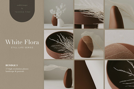 Stock Photos - White Flora Bundle 3, a Photo by Teodora Tinc
