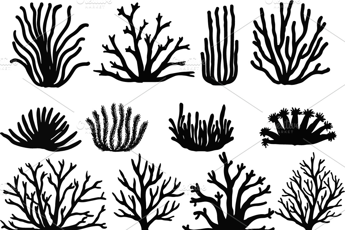 98 % OFF 2200++ Design elements, an Animal Illustration by Somjai King (Photo 9 of 45)
