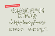 Mango Driver - Signature Brush, a Handwritten Font by tebaltipislab (Thumbnail 2 of 10)