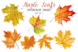 Watercolor Maple Leafs Clipart