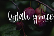 Candied Plum, a Script Font by OnTheSpotStudio (Thumbnail 4 of 4)