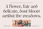 CS Harmony – Uncial Font, a Serif Font by Craft Supply Co. (Thumbnail 6 of 8)