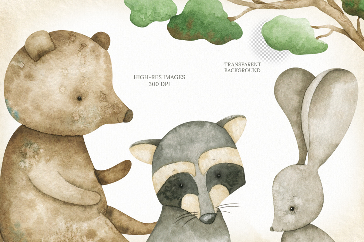 Watercolor woodland animals set, an Animal Illustration by OrangePeafowlArt (Photo 11 of 14)