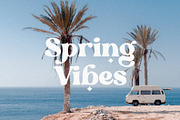 Blanch Sage - Retro Font, a Serif Font by Sans & Sons (Thumbnail 6 of 10)