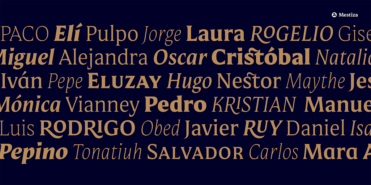 Mestiza, a Serif Font by Lechuga Type (Photo 2 of 16)