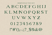 Millionaire, a Serif Font by Eric Pond Designs (Thumbnail 3 of 4)