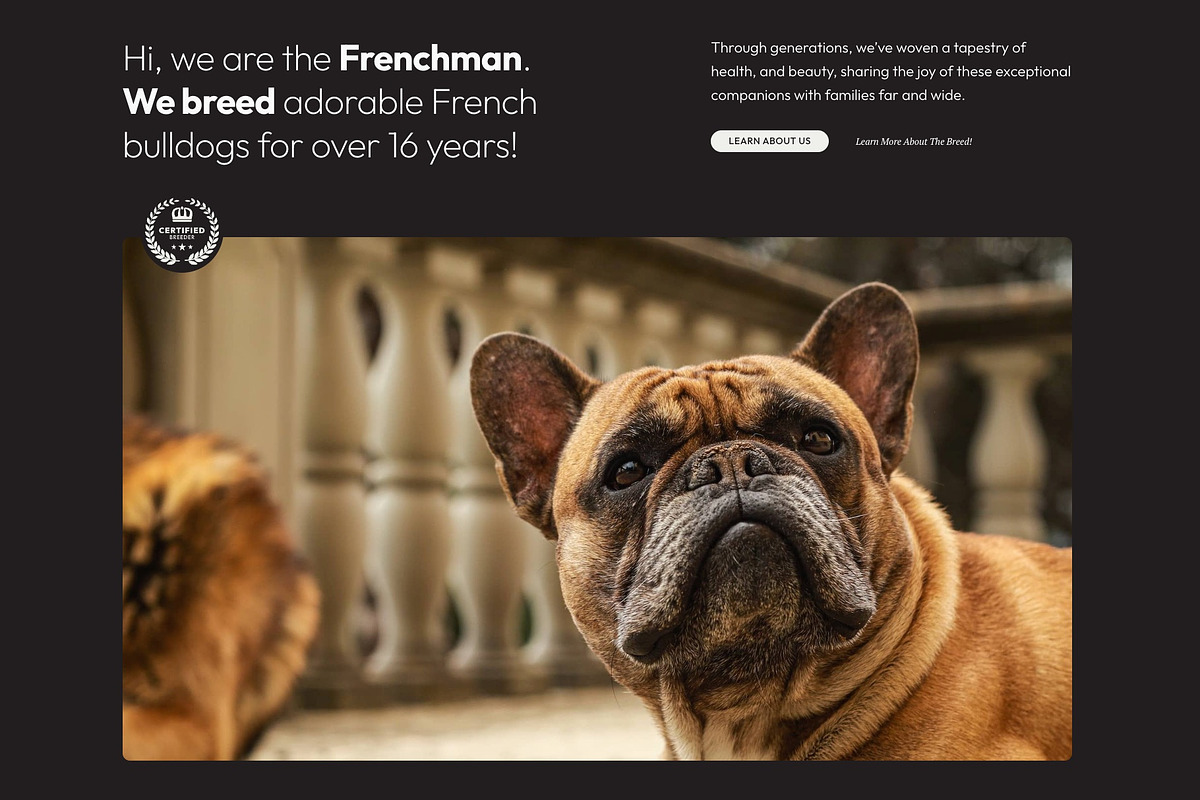 Frenchman - WP dog breeder kit, a Templates & Theme by Oooh Boi (Photo 3 of 12)