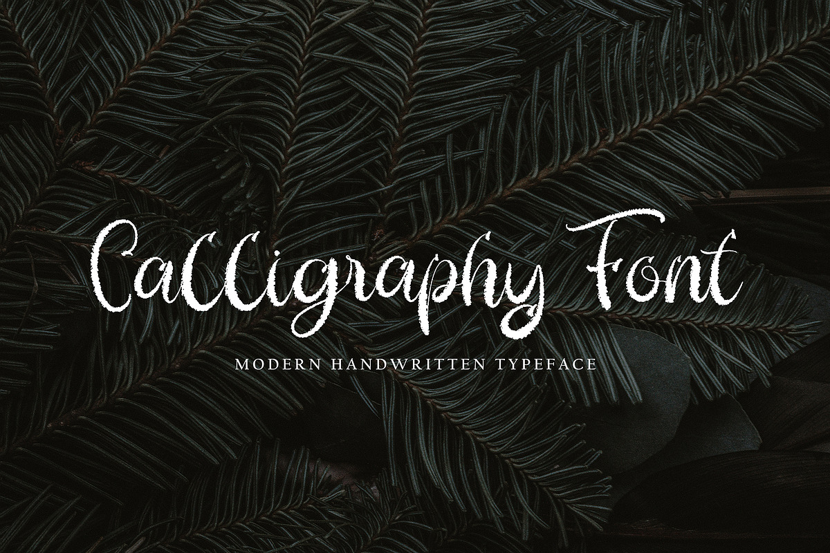 Paulinha, a Script Font by pineungtype (Photo 5 of 6)