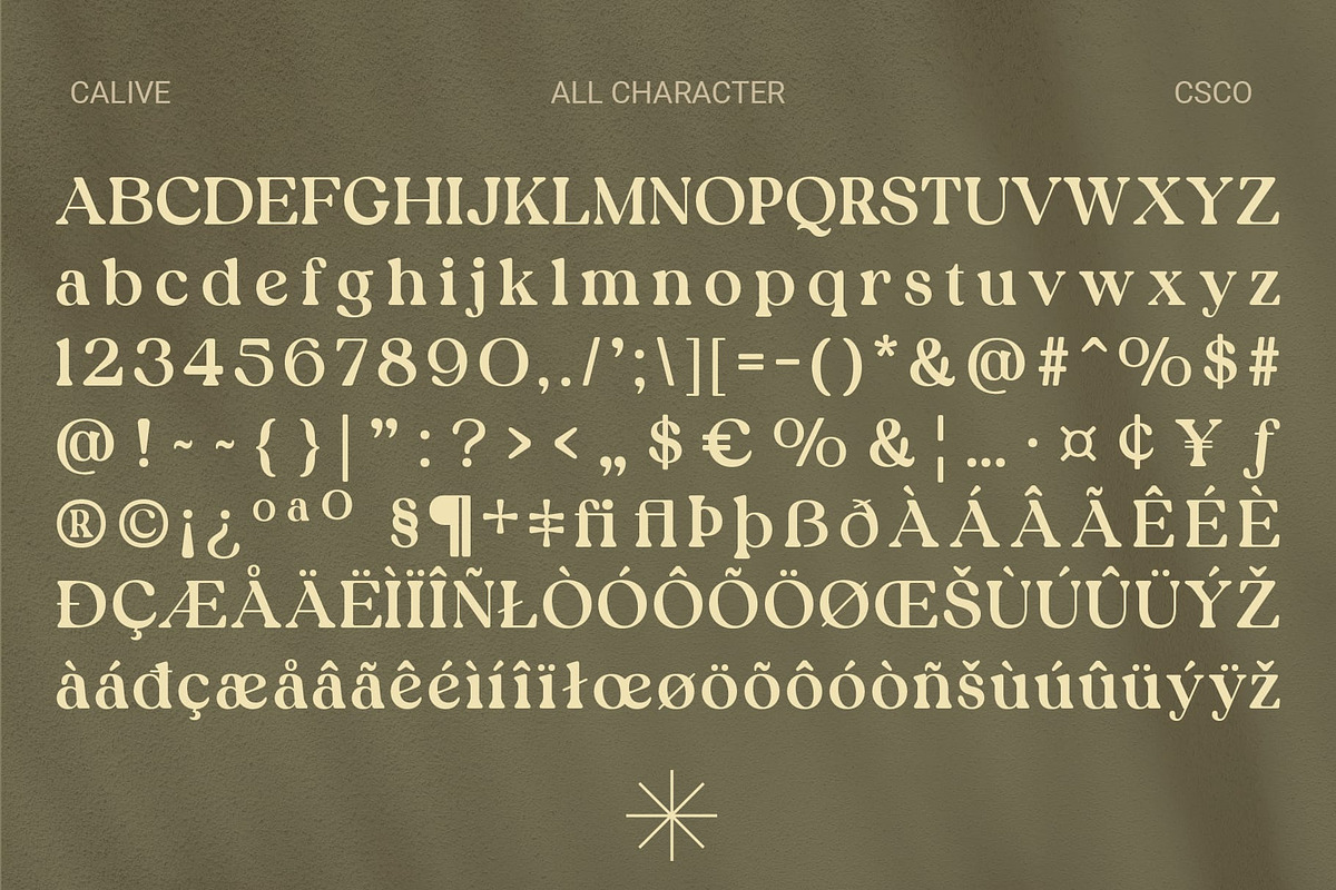 Calive – Nostalgic Font, a Serif Font by Craft Supply Co. (Photo 5 of 8)
