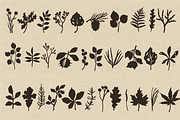 Autumn Botanicals Clipart, a Seasonal Illustration by RaDavCrafts (Thumbnail 5 of 12)