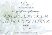 Ghadys - Classic Handwritten, a Script Font by erlosDESIGN (Thumbnail 11 of 12)