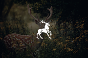 Minimalist Modern Deer Logo, a Branding & Logo Template by Luxury Logos (Thumbnail 2 of 4)