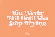 Brighton Vintage - Modern Serif Font, a Serif Font by dealitastudio (Thumbnail 4 of 10)