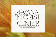 Jinglan Elegant Ligature Serif Font, a Serif Font by Elegant Font (Thumbnail 2 of 8)