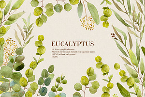 Watercolor Eucalyptus Greenary