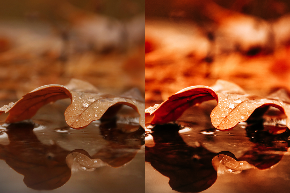 10 Autumn Leaves Lightroom Presets, a Preset Add-On by RamsaGraphi (Photo 8 of 10)