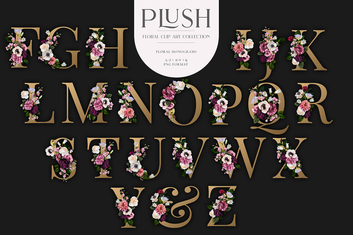 Plush Floral Clip Art, an Object Graphic by Eclectic Anthology (Photo 11 of 19)