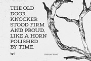 Cendro Slab - Slab Serif Font, a Slab Serif Font by Tiga Type (Thumbnail 4 of 8)