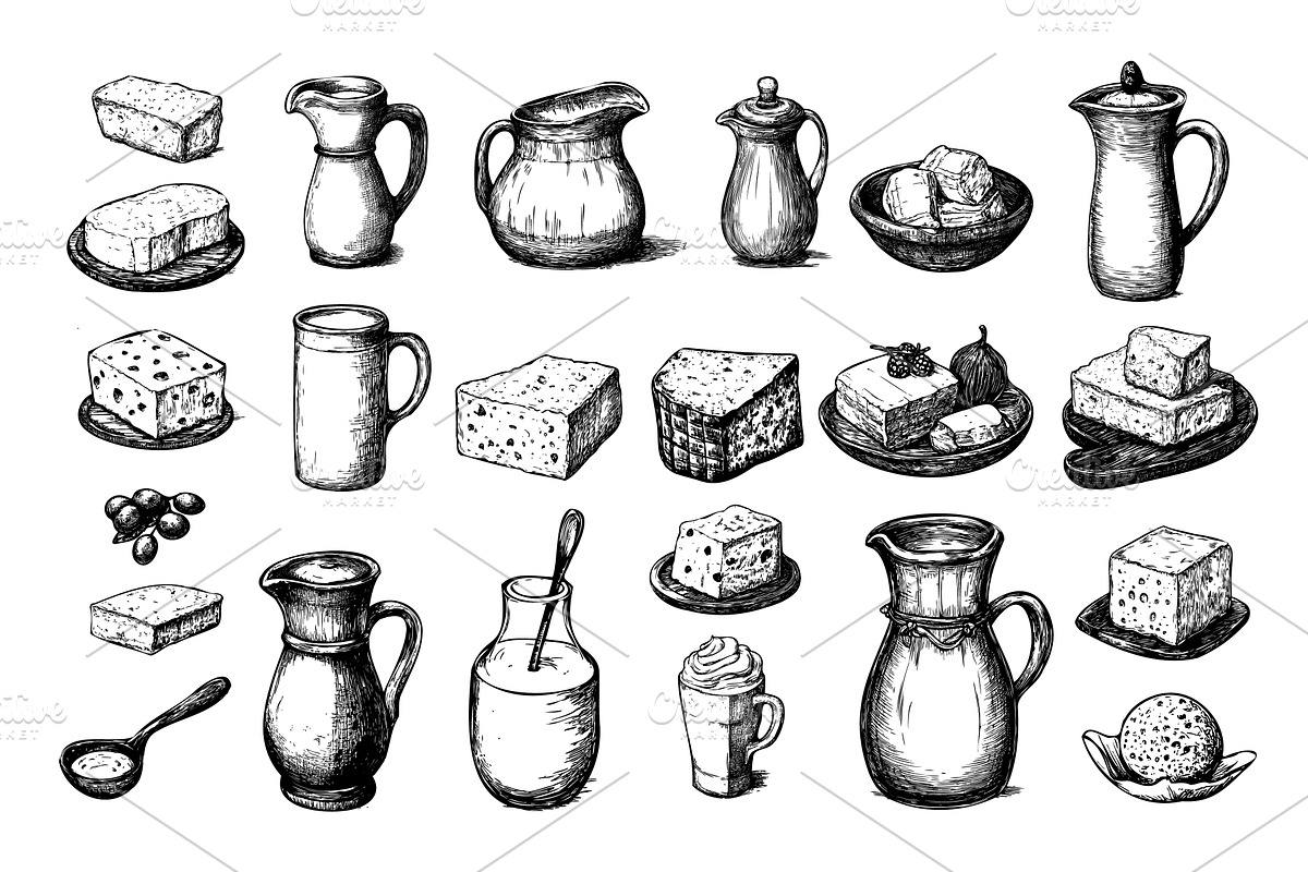 Milk dairy products engraved vector, a Food Illustration by Valerie Bodnar