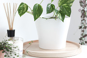 Neutral Collection | Styled Stock, a Business Photo by Chalking Up Stock (Thumbnail 16 of 25)