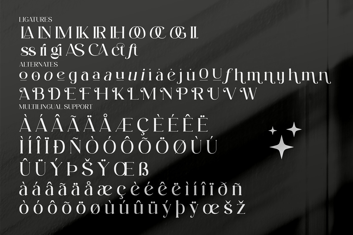Aftesto Unique Serif Font, a Serif Font by Storytype Studio (Photo 8 of 9)