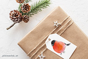 Winter Birds. Vector collection, a Decorative Illustration by Colibri Watercolor (Thumbnail 6 of 9)