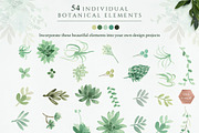 Botanist II - Airplants & Succulents, a Texture Illustration by Momo Studio (Thumbnail 15 of 15)