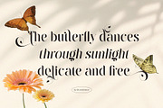 Raintop – Elegant & Stylish Serif, a Serif Font by BrandSemut (Thumbnail 2 of 10)