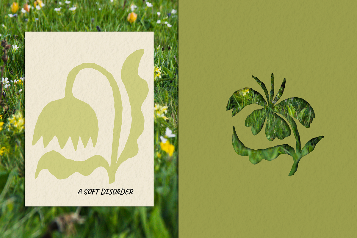 Organic Shapes & Vector Objects, an Object Graphic by venimo
