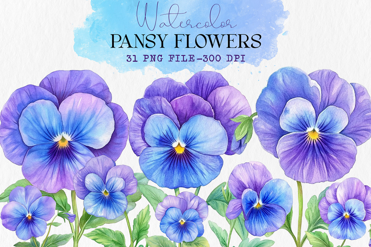 Watercolor Pansy Flowers Clipart, an Illustration by Libby Wishes (Photo 1 of 7)