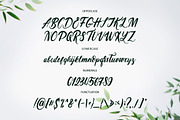 NEW! Soul Run Brush Font, a Script Font by Wewhitelist (Thumbnail 3 of 7)