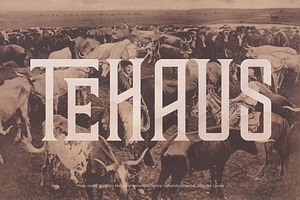 TEHAUS Typeface