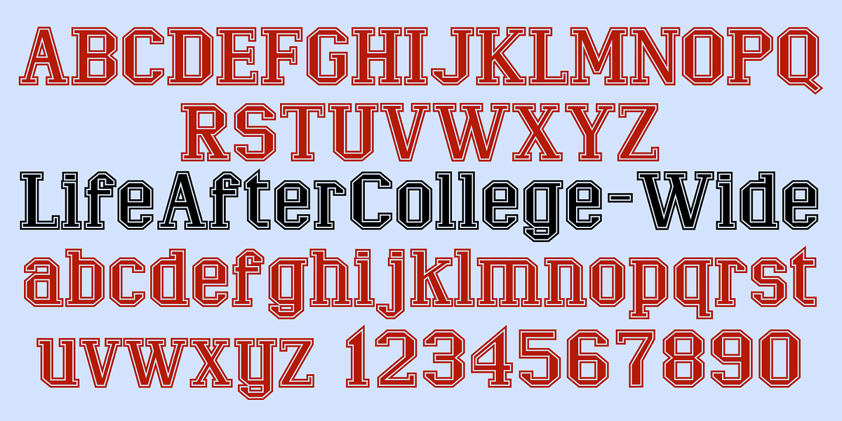 LifeAfterCollege, a Slab Serif Font by Ingrimayne Type (Photo 4 of 8)