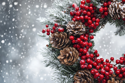 Festive holiday wreath adorned with, a Photo by Iftikhar Alam