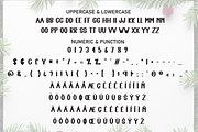 Alphabet | Script Font, a Script Font by Scratchones (Thumbnail 7 of 8)