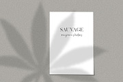 Hemp/Marijuana Shadows & MockUp, a Mockup by Jeanina Vlad (Thumbnail 10 of 17)