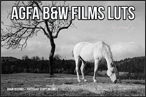 AGFA Black And White Film LUTs