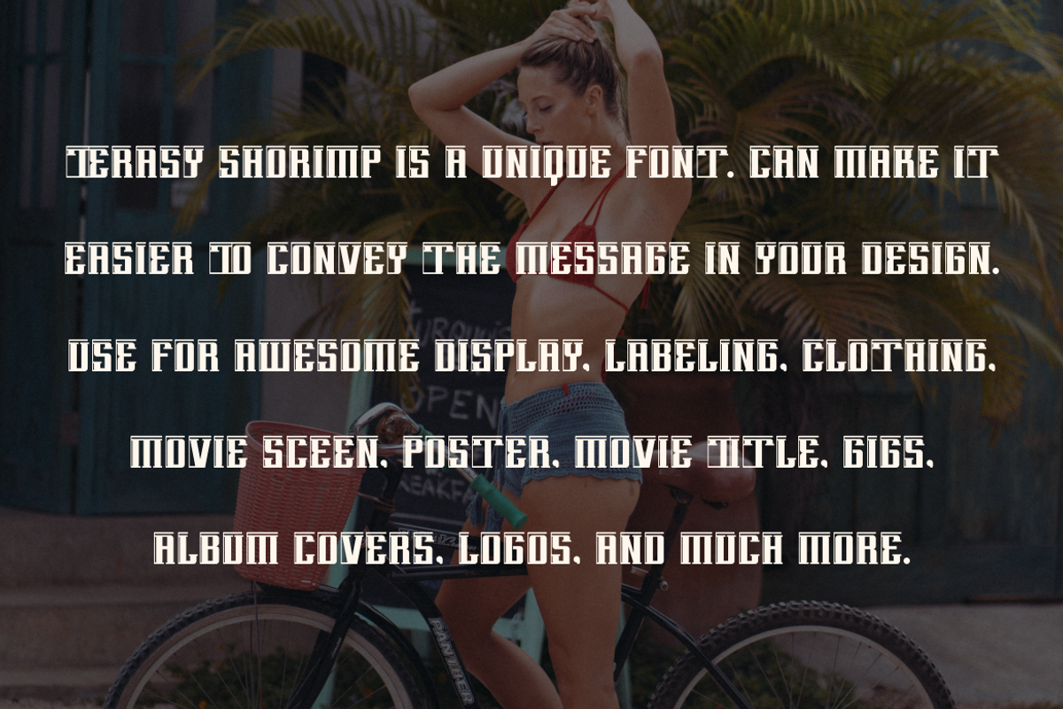 TeRASY SHORIMP, a Slab Serif Font by Viswal Studio (Photo 2 of 6)