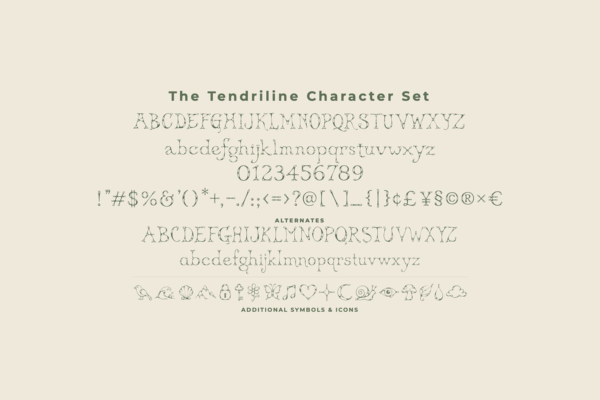 Tendriline Botanical Serif Font, a Serif Font by Graphic Spirit (Photo 2 of 8)
