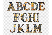 Gold and Black Alphabet Clipart, a Decorative Illustration by GlamArtZhanna (Thumbnail 4 of 5)