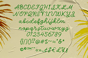 Seraphic - Script Font, a Script Font by Almeera Std (Thumbnail 2 of 6)