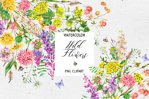 Watercolor meadow herbs&flowers